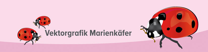 Marienkäfer Grafik